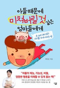 아들 때문에 미쳐버릴 것 같은 엄마들에게 :큰 소리 내지 않고 아이를 키우는 법 표지