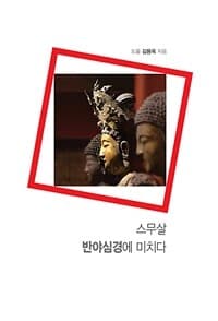 스무살, 반야심경에 미치다 표지