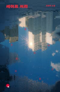 세이프 시티  : 큰글자도서
